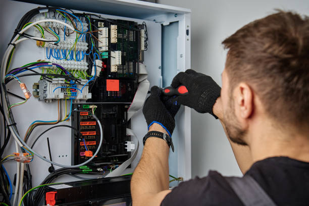 Licensed Electrical Panel Upgrade service in Rapid City, MI - No Joke electrician